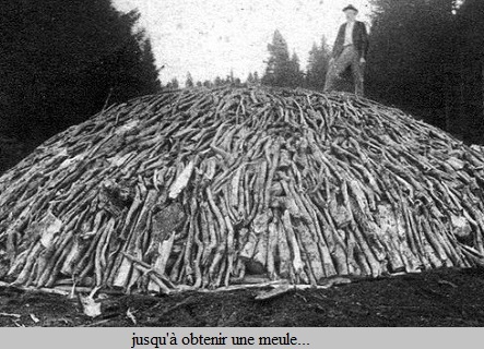 Farbrication du charbon de bois