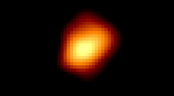 Gante rouge Mira Ceti