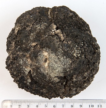 Nodule de manganse