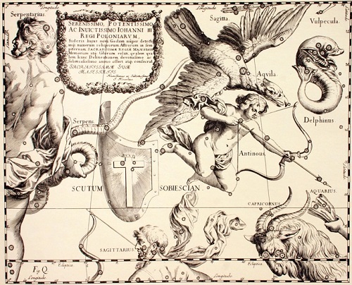 Chiens de chasse