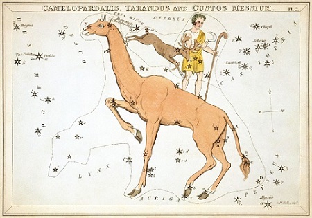 Le Renne