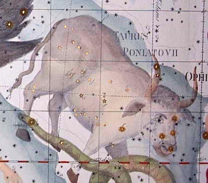 Le Taureau de Poniatowski
