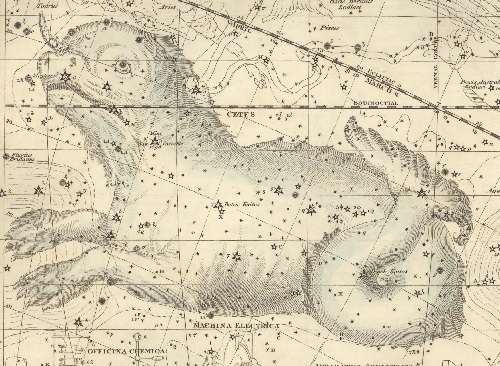 La Baleine