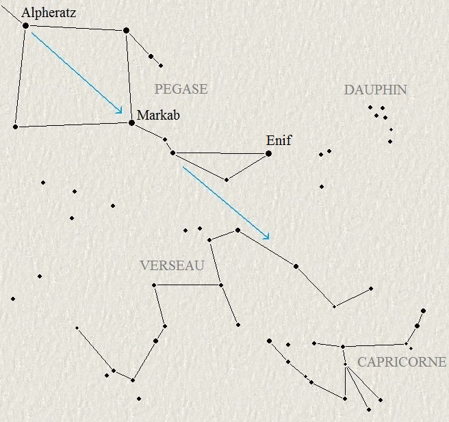 Le Capricorne