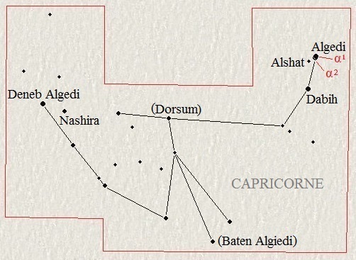 Le Capricorne