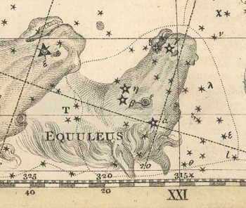 Le Petit Cheval
