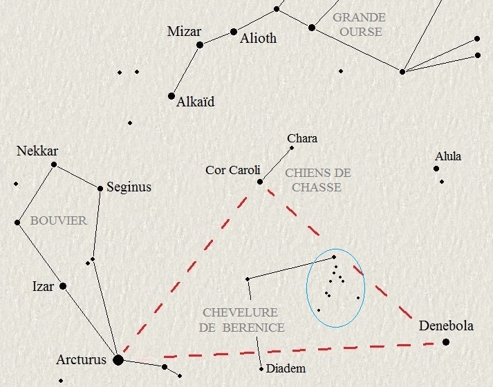 Les chiens de chasse