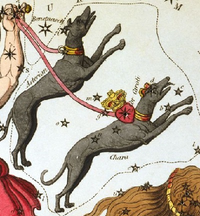 Les Chiens de chasse