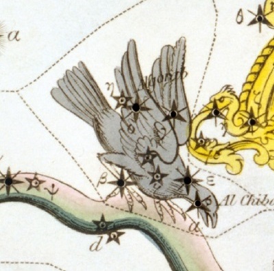 Le Corbeau