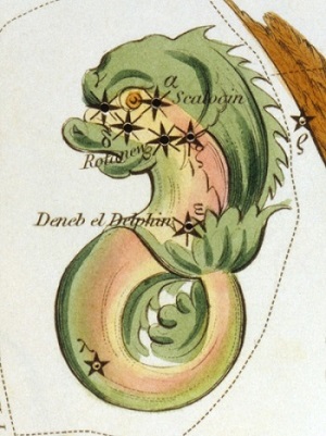 Le Dauphin