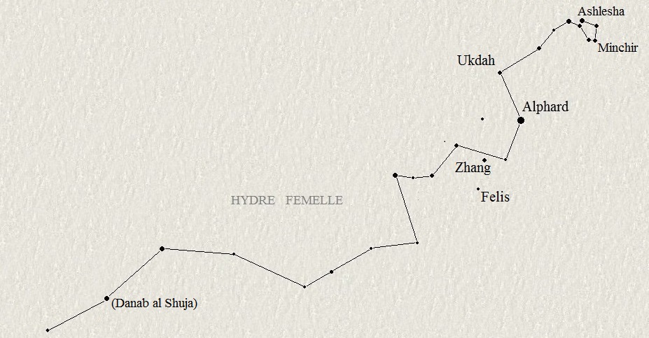 L'Hydre femelle