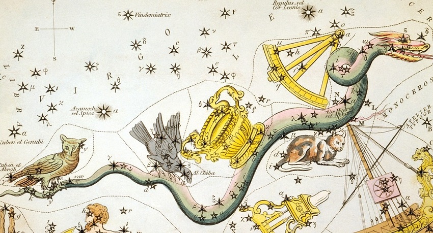 L'hydre femelle