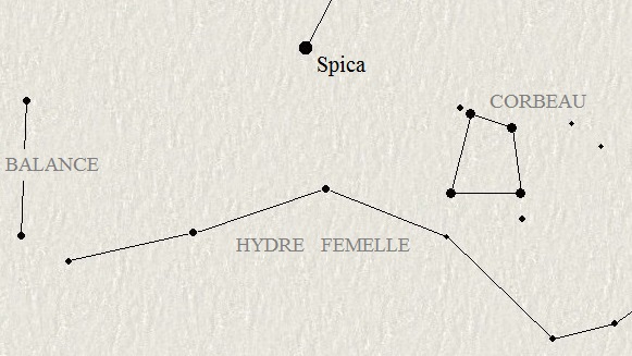 L'Hydre femelle