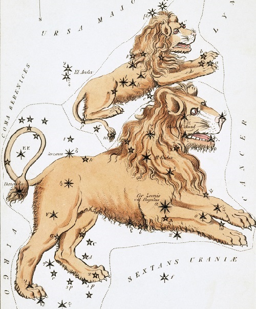 Le Lion