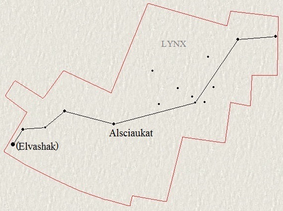 Le Lynx