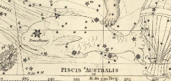 Le Poisson Austral