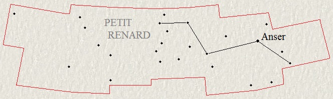 Le Petit Renard
