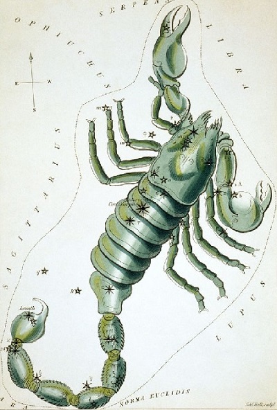 Le Scorpion