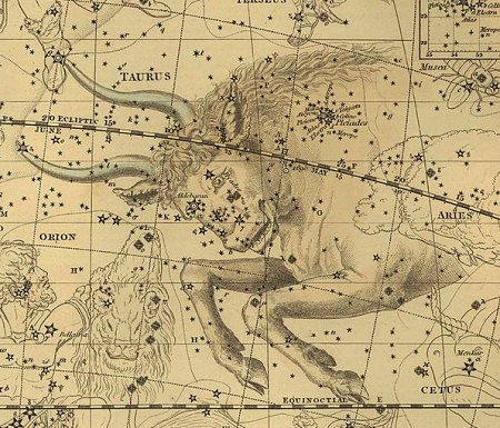 Le Taureau