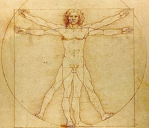 L'homme de Vitruve