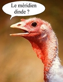 Une belle dinde